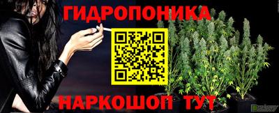 ALPHA-PVP Можга