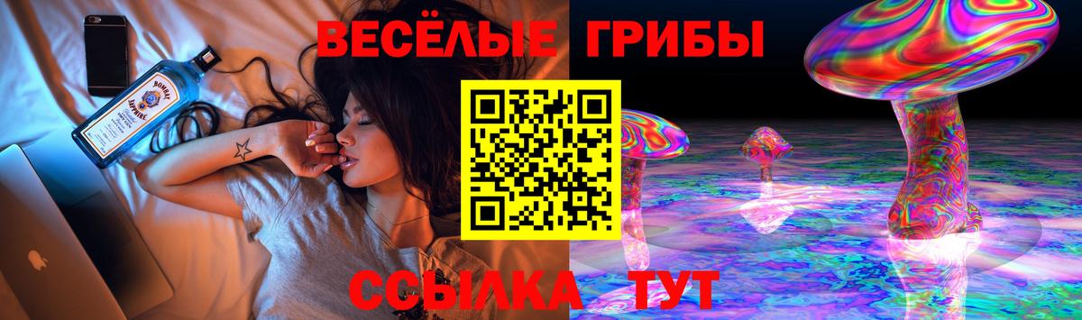 Тамбов  Псилоцибиновые грибы Cubensis  Вход с VPN 